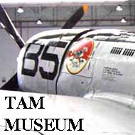 P-47 at TAM Museum